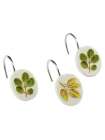 Набор из 12 крючков для шторки Avanti Foliage Garden 13670G