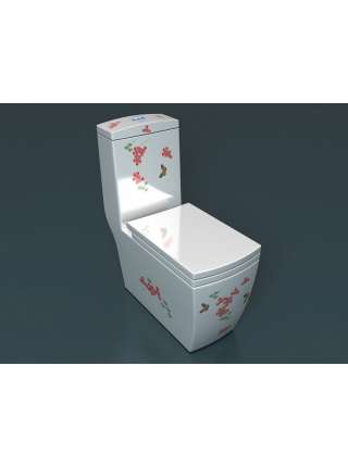 Унитаз-моноблок Arcus 050 white DW