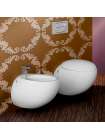 Унитаз подвесной Laufen Alessi One 2097.6.400.000.1