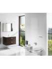 Унитаз подвесной Roca Victoria 34630300R