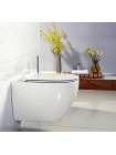 Унитаз подвесной BelBagno Sfera-r BB513CH