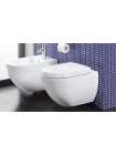 Унитаз подвесной Villeroy & Boch Subway Plus 6600 10R1 alpin