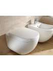 Унитаз подвесной Villeroy & Boch Subway Plus 6600 10R1 alpin