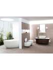 Унитаз подвесной Villeroy & Boch Aveo 6612 10R2 star white