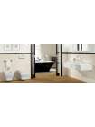 Унитаз подвесной Villeroy & Boch La Belle 5627 10R1 alpin
