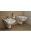 Унитаз подвесной VitrA S20 5507B003-0101
