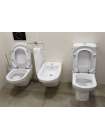Унитаз подвесной Villeroy & Boch Lifetime 5672 10R1 alpin